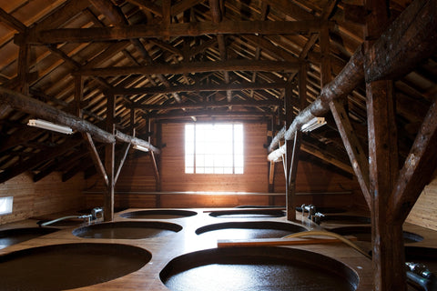 Shibanuma: 330 Years of Barrel-Brewed Tradition