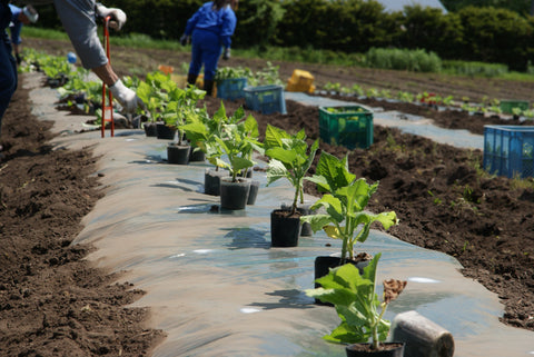 Hokkaido Bio-Industry Co., Ltd. — Delivering Natural, Science-Backed Health Foods from Northern Japan
