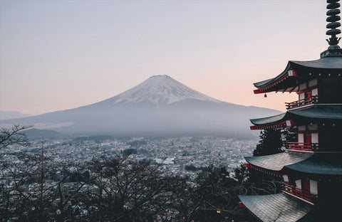 A Culinary Journey Through Japan's Diverse Regions