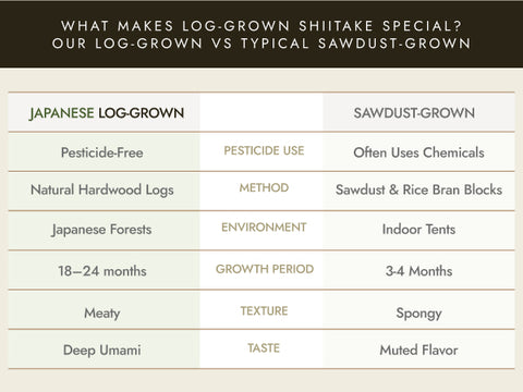 干燥 "冬菇" 香菇 （天然日本原木生长）- 80g 