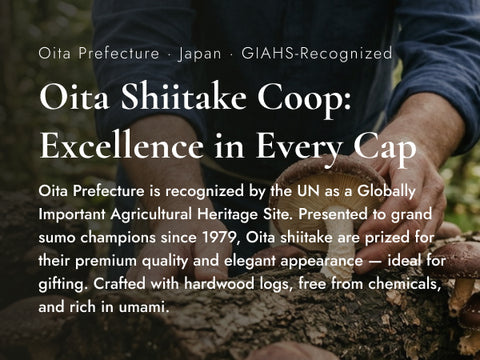 干燥 "冬菇" 香菇 （天然日本原木生长）- 80g 